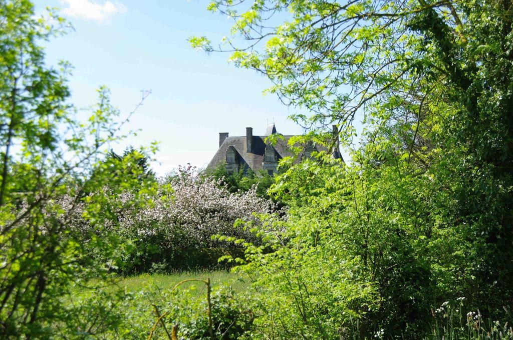 מלון La Chapelle-Gaudin Chateau De Vermette מראה חיצוני תמונה